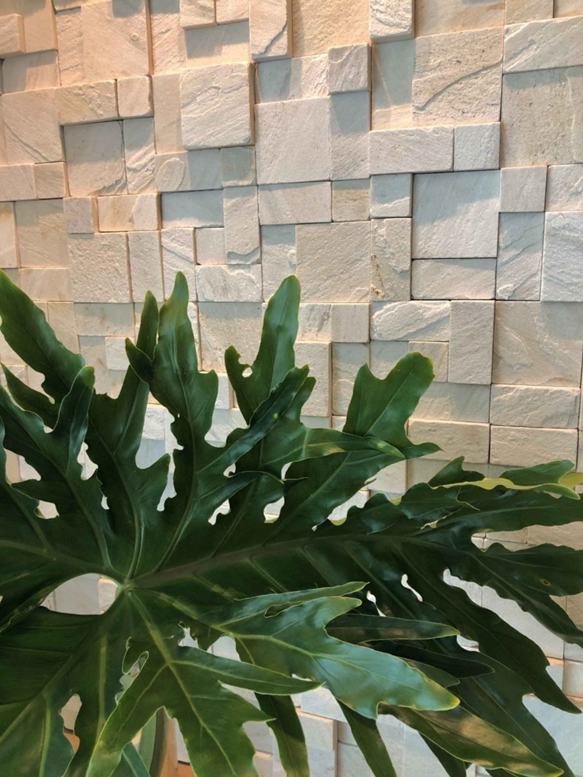 g-08-07-2021f15b056 (1).jpg