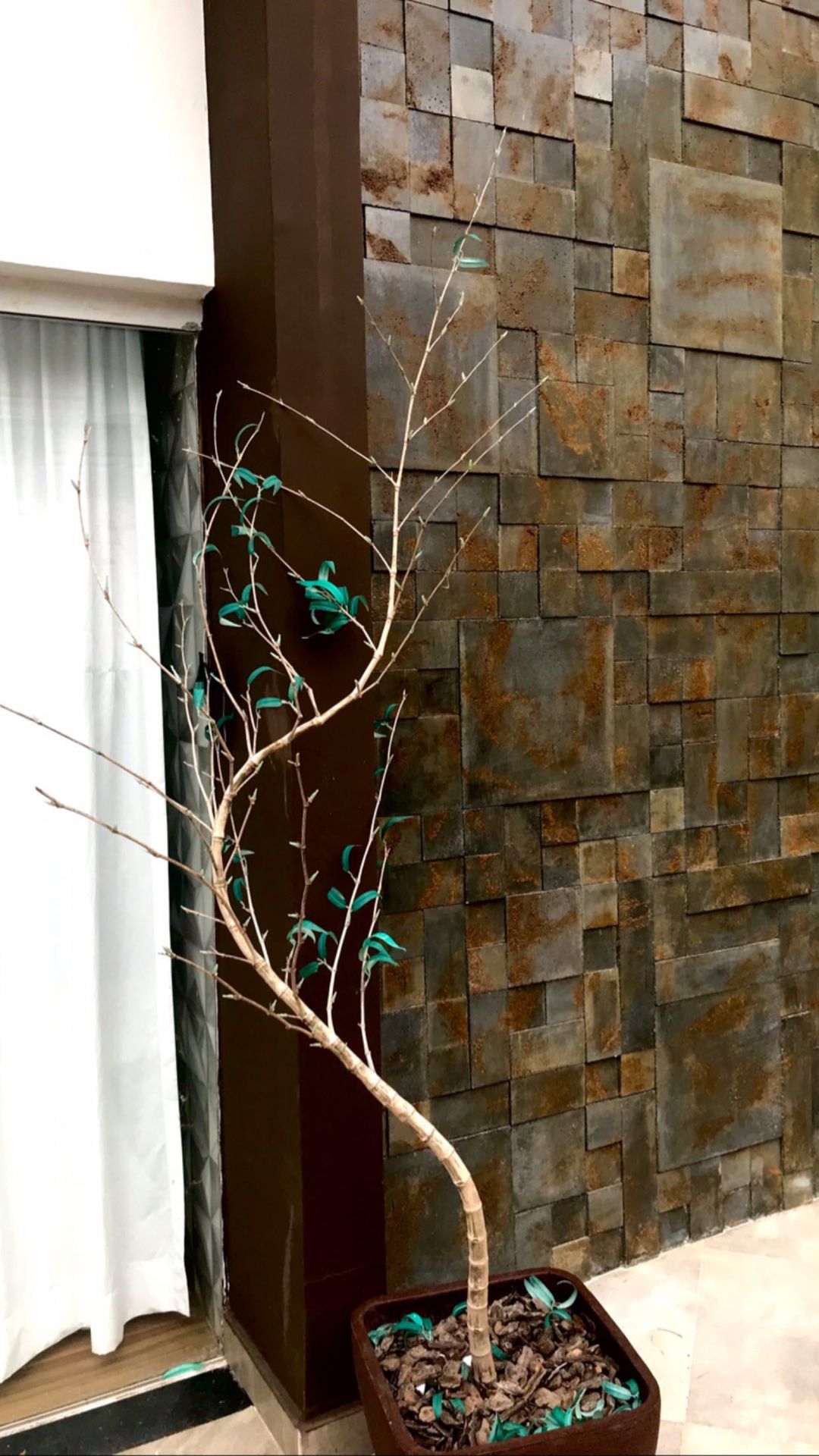 highlights - 18120207424127771 (10).jpg